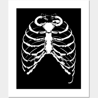 Skeleton Ribs Posters and Art